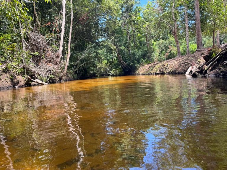 Fazenda a venda -Carolina-MA