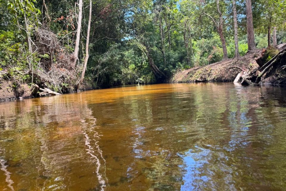 WhatsApp Image 2025-05-14 at 10.24.40