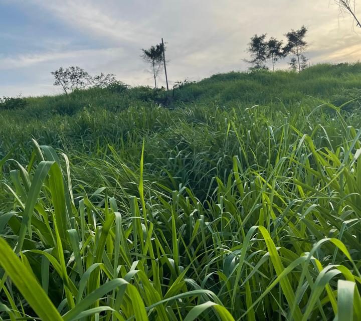 WhatsApp Image 2025-05-14 at 10.24.42 (1)