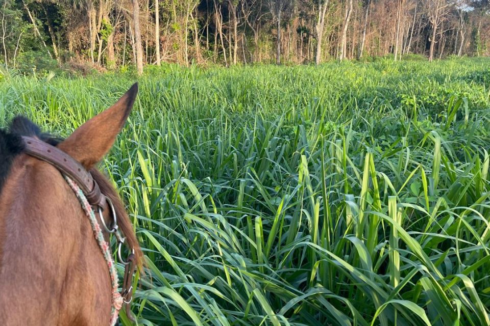 WhatsApp Image 2025-05-14 at 10.24.42 (3)