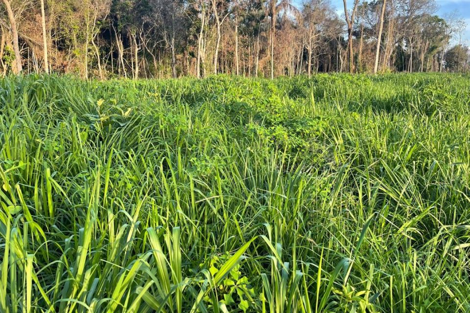 WhatsApp Image 2025-05-14 at 10.24.42 (4)