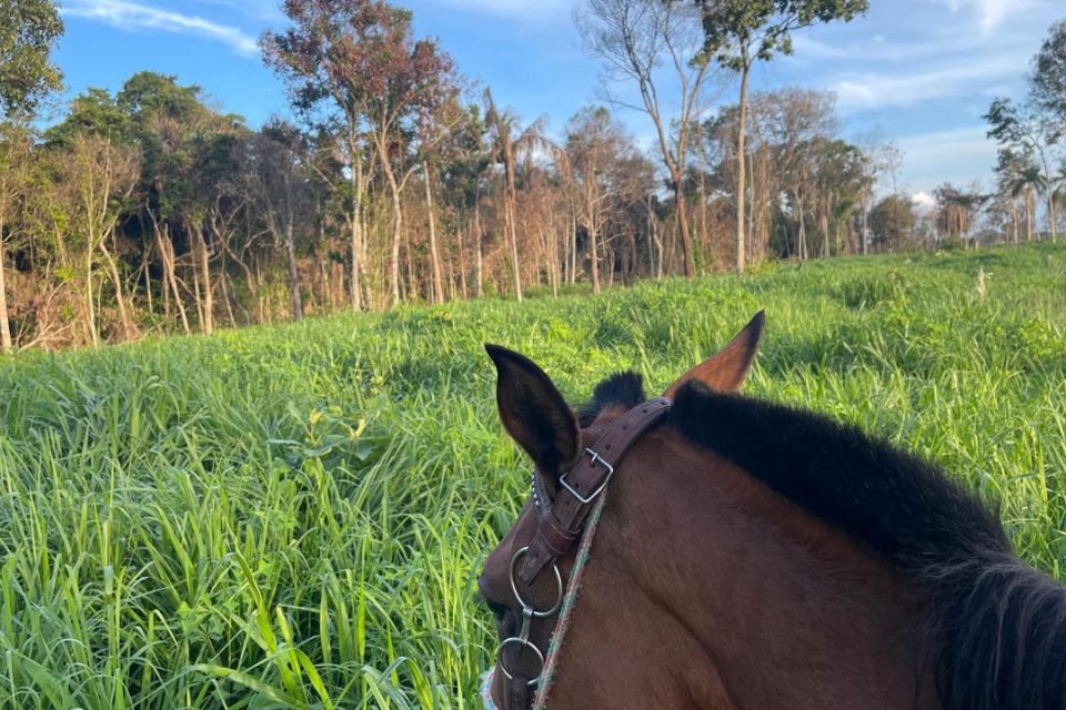 WhatsApp Image 2025-05-14 at 10.24.42