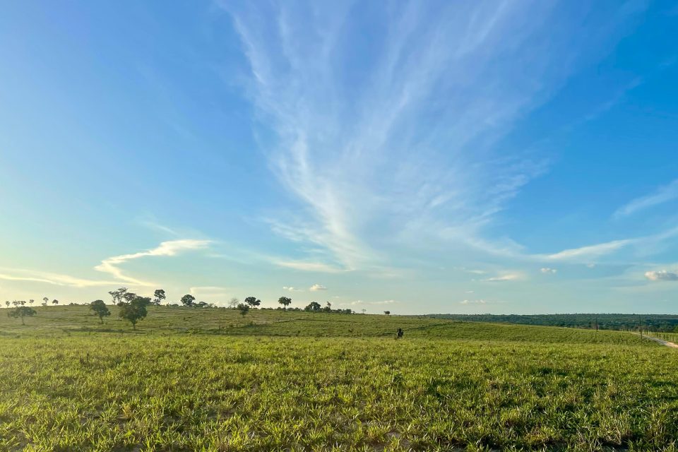 WhatsApp Image 2025-05-14 at 10.24.43