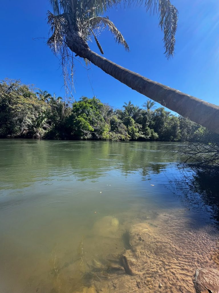 🏡 Chácara à Venda – Rio Balsas